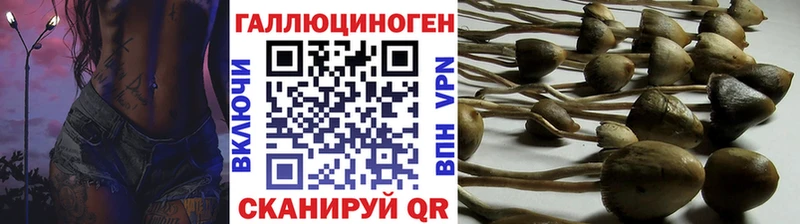 Псилоцибиновые грибы Cubensis  Кондопога 